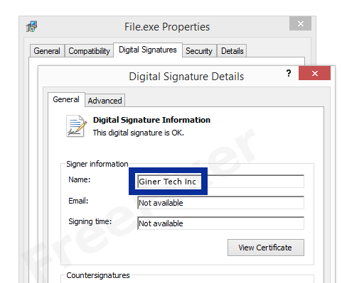 Screenshot of the Giner Tech Inc certificate